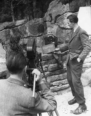 沒救了，燉了吧：二戰中的德國柏林動物園