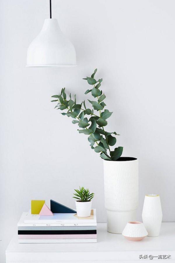 一枝插花,驚豔一家 一枝插花,驚豔一家