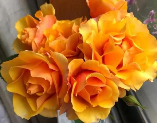 關於熾天使、路西法、絆、艾帕索的選擇題 關於熾天使、路西法、絆、艾帕索的選擇題