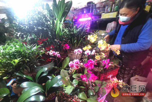 臨近元旦 花卉熱銷