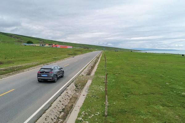 標緻4008環青海長測Day9：鳥島叫“蚊子島”，沿青海沿線達剛察！