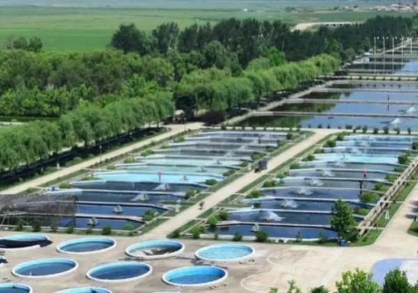 朝鮮大力開展養魚 豐富軍民飯碗