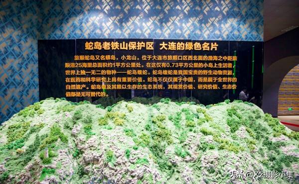 曾經的大連“蛇島”，可能已經不再沒人敢去，而是成了旅遊景區？