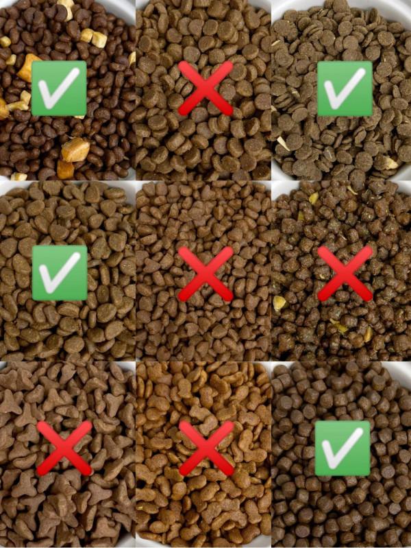 2021年了，毒貓糧還有給主子吃的？