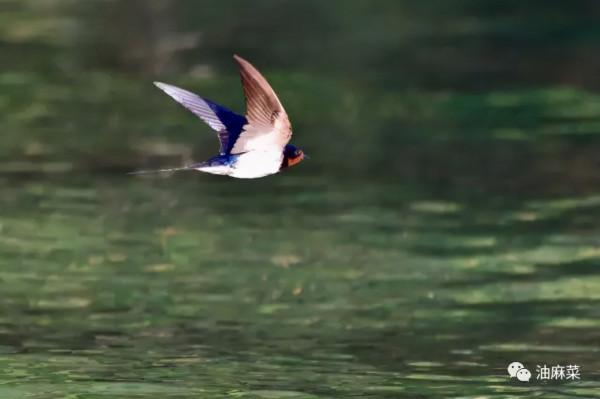 那些看似無聊的等待