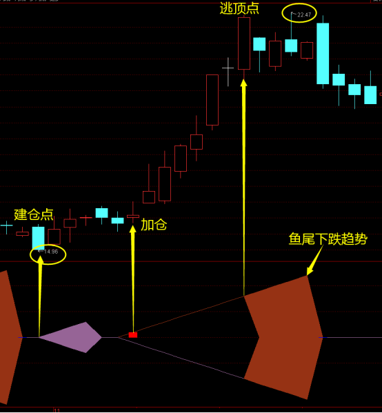 「全新魚身」指標——讓大家看看什麼是魚身，魚身戰法