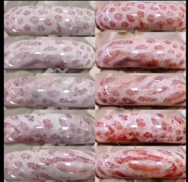 珊瑚玉養過後會發生什麼變化? 珊瑚玉養過後會發生什麼變化?