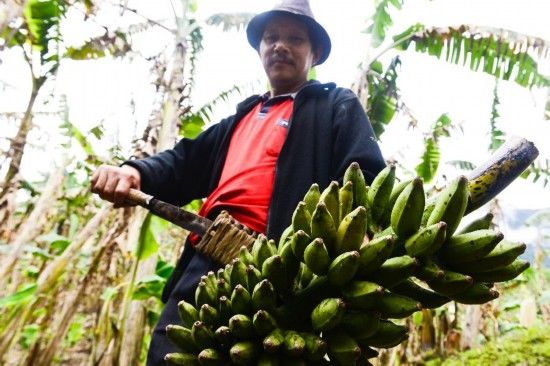 國內旅遊那些出名的打卡地