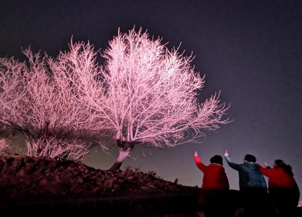 紀“石”週刊｜石景山區紅光山上夜景美輪美奐