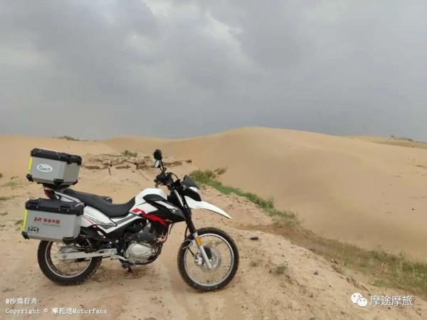 我的花甲之旅——沿途溼地沼澤,鳥語花香,森林草原,牛羊肥壯 我的花甲之旅——沿途溼地沼澤,鳥語花香,森林草原,牛羊肥壯
