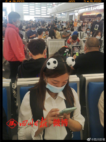離開成都的遊客人手一隻熊貓？
