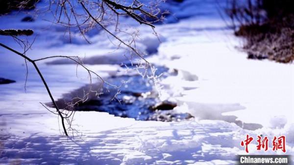 青海互助霧凇冰瀑連綿數里 玉樹瓊枝似“白色王國”