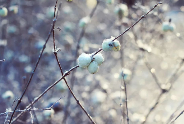 長相好看的女人，都有這些特點