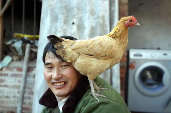 大衣哥的流量被拉麵哥搶了嗎?口碑分化,農村網紅有沒有幕後團隊 大衣哥的流量被拉麵哥搶了嗎?口碑分化,農村網紅有沒有幕後團隊