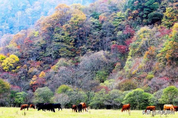 各省最高的山:有5個省超過了6000米,東部最高峰多數人想不到 各省最高的山:有5個省超過了6000米,東部最高峰多數人想不到