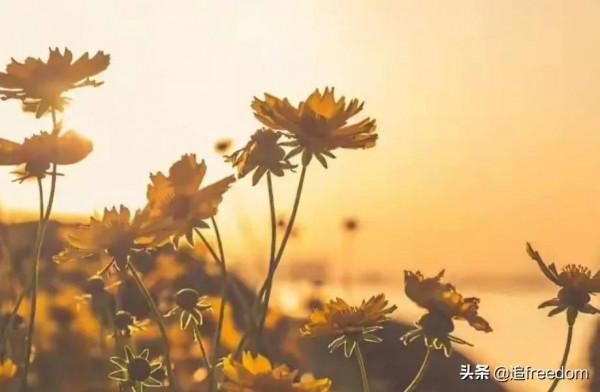 一個人變成熟的三大標誌