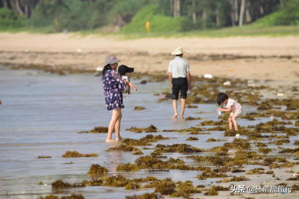 國內過冬很舒服的海島，1月也有25°C，物價不貴，生活悠閒