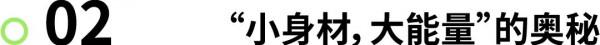 裝備|輕量 OR 緩震?這道題你選對了嗎? 裝備|輕量 OR 緩震?這道題你選對了嗎?