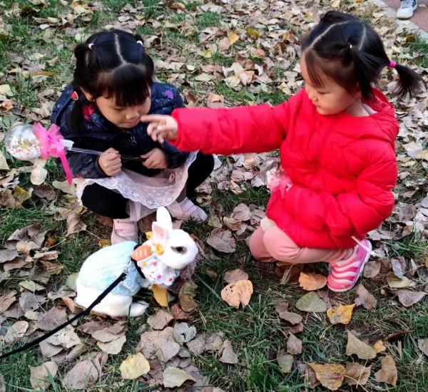 美目盼兮小精靈，疑為玉兔下凡間