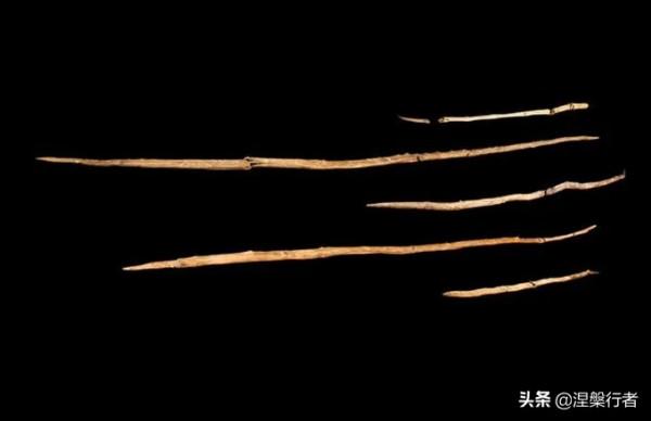 人類褪毛簡史 人類褪毛簡史