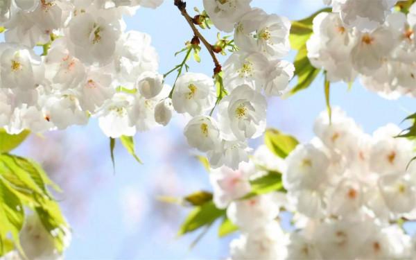 那些不肯借錢的關係,到最後都怎麼樣了 那些不肯借錢的關係,到最後都怎麼樣了