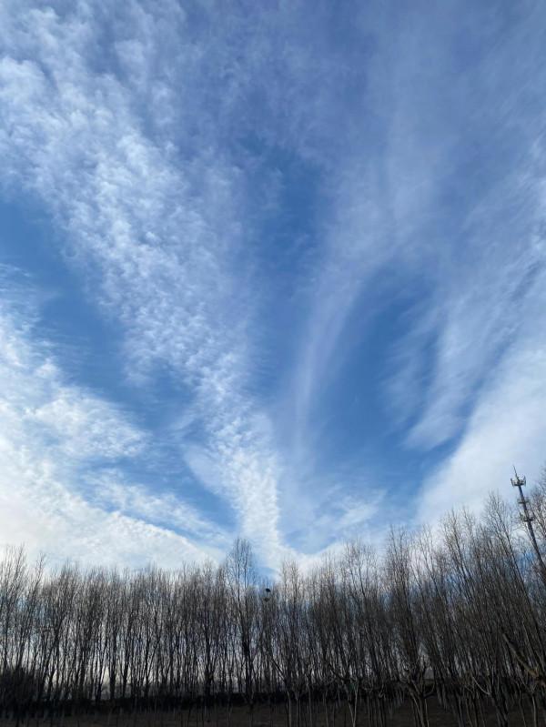 一頭“北方的狼”