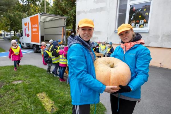 萬聖節將至，塔林動物園將為大象舉行南瓜派對