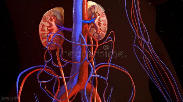 閉藏養腎｜起居、運動、食補……教你冬季養腎禦寒護陽氣