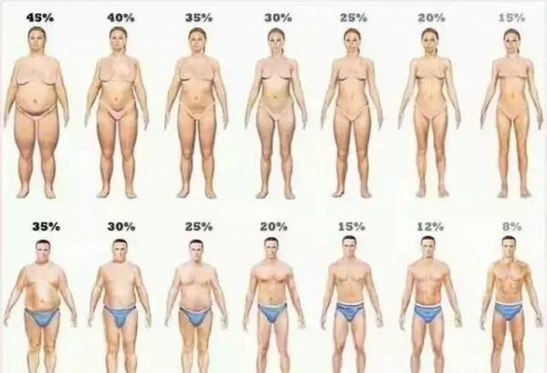 身材與壽命有著緊密的關係，輕鬆跑步更益於長壽