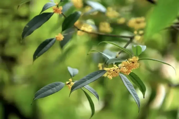 58歲阿姨傾訴：找有6000退休金的老頭搭夥，一年不僅搭錢還出了力