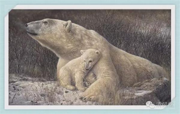 加拿大繪畫:野生動物的描繪 加拿大繪畫:野生動物的描繪