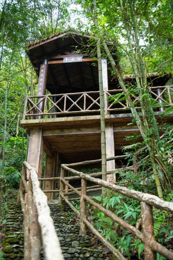 何必去黃果樹!廣東有超美嶺南第一瀑,藏在山谷幽深處,景美人少 何必去黃果樹!廣東有超美嶺南第一瀑,藏在山谷幽深處,景美人少