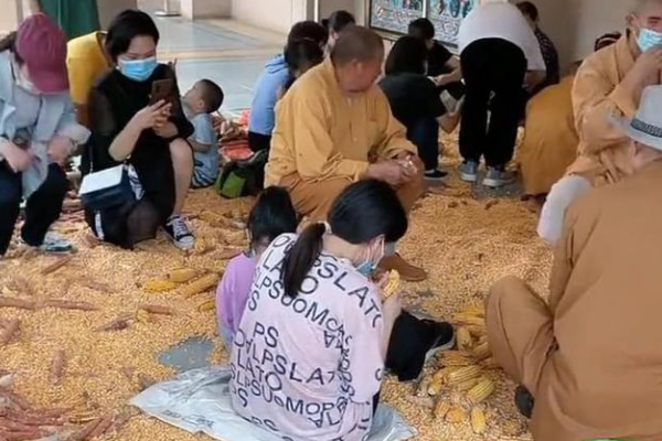 河南一古寺走紅,遊客買票去幫僧人搓玉米,遊客:好像回到小時候 河南一古寺走紅,遊客買票去幫僧人搓玉米,遊客:好像回到小時候