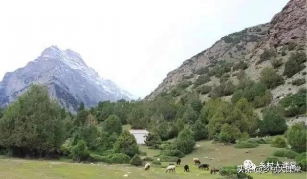 在那祖國四方最邊遠的地方…… 在那祖國四方最邊遠的地方……