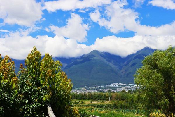 隱於山水間,住在詩畫裡——大理墨海客棧 隱於山水間,住在詩畫裡——大理墨海客棧