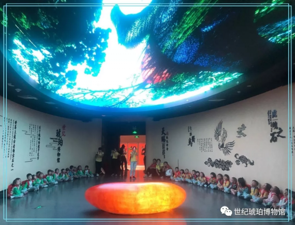 探秘琥珀世界 從幼兒開始 探秘琥珀世界 從幼兒開始