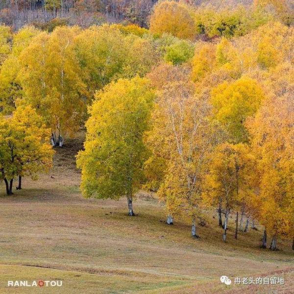 「青未了」冉令傑|南井,那一抹血紅的曙色 「青未了」冉令傑|南井,那一抹血紅的曙色