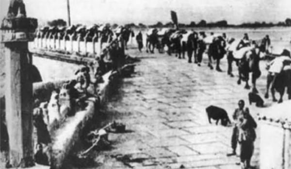 退伍偵察兵自稱槍法精準，後來才知母親是王牌特工，曾受陳毅盛讚