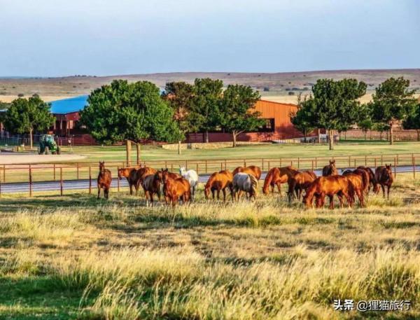 美利堅從墨西哥得到了得州，那裡有牛仔有石油有矽谷，卻也是刺頭