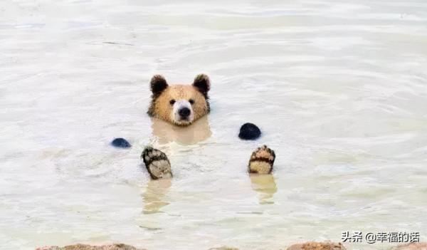 五彩繽紛的世界 五彩繽紛的世界