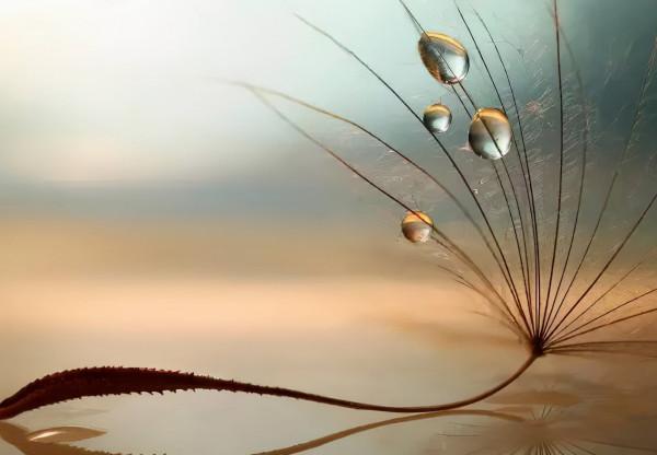 人生十悟，你悟透了多少？