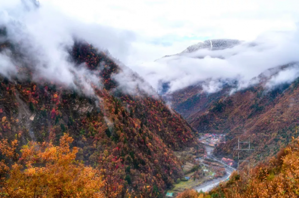 為什麼全國都愛四川的秋天! 為什麼全國都愛四川的秋天!