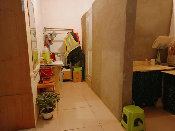 猴子大姨日常記