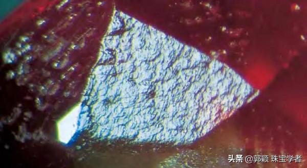 拼合紅藍寶都“內卷”成這樣了？