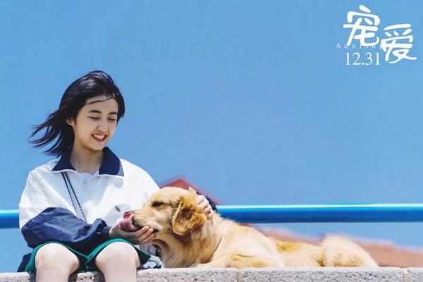 演藝圈童星之爭,90後、00後個個有出息,拼完顏值拼演技 演藝圈童星之爭,90後、00後個個有出息,拼完顏值拼演技