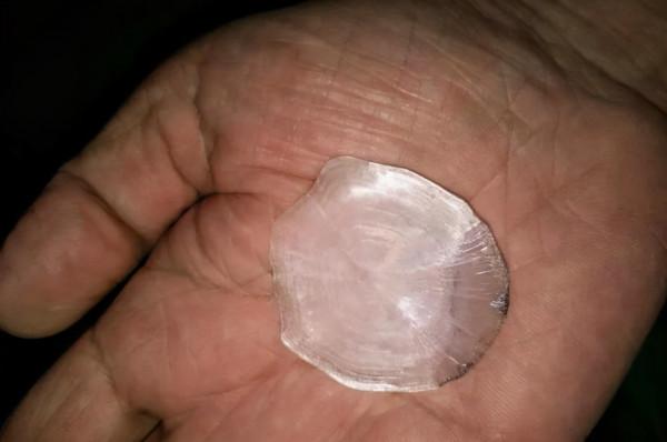 安徽一男子釣上“青魚王”，差不多和人一樣高，用了幾百斤的窩料