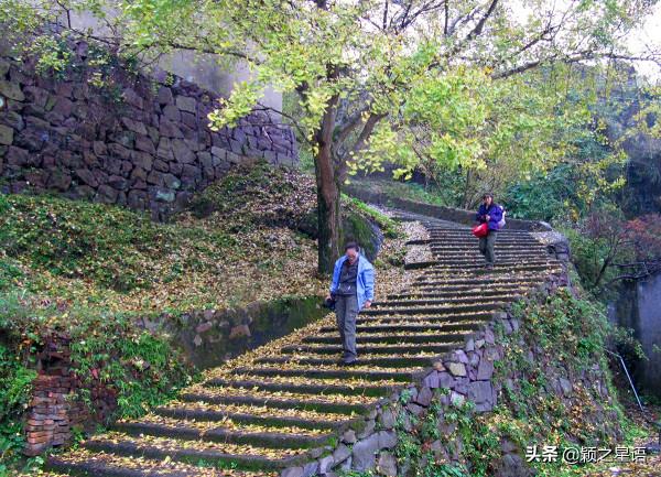 寧波有個古村,媲美篁嶺秋色,去過25次,你去過嗎 寧波有個古村,媲美篁嶺秋色,去過25次,你去過嗎