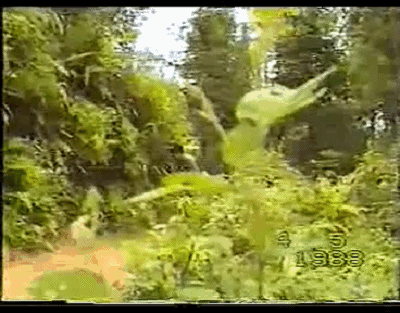 偵察兵冒險越境捕俘，為何半路上殺死23名越軍俘虜？