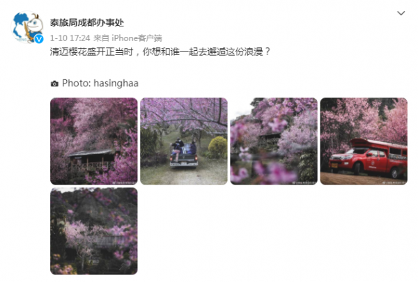 多國旅遊局關注中國市場：“希望疫情後，你們首選我們這裡來旅遊”