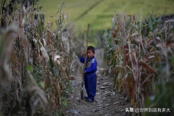 46張照片，帶你見識朝鮮，不為人知的另一面